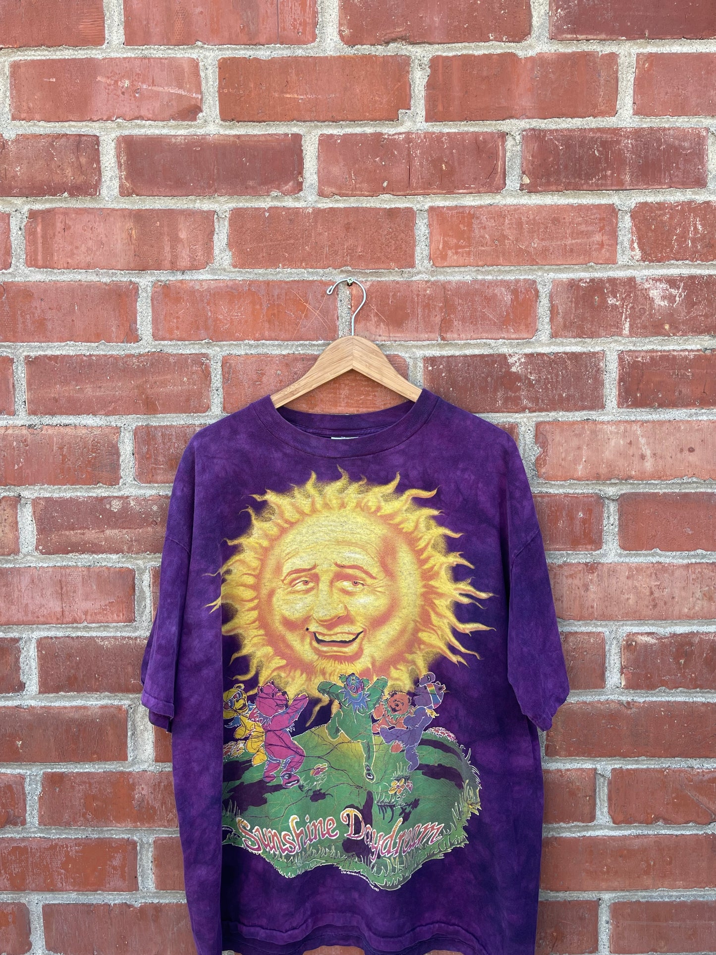 1993 Grateful Dead "Sunshine Daydream" Tee